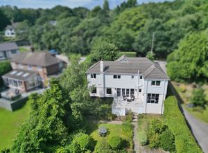 Photo 51- click for photo gallery